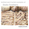 Lustrous Lace - Dodo Feathers